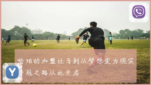 哈珀的加盟让马刺从梦想变为现实夺冠之路从此开启