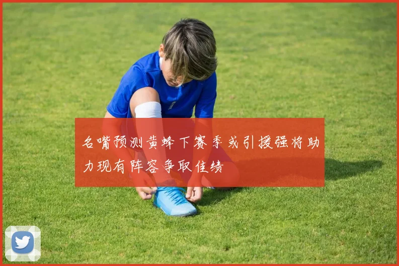 名嘴预测黄蜂下赛季或引援强将助力现有阵容争取佳绩